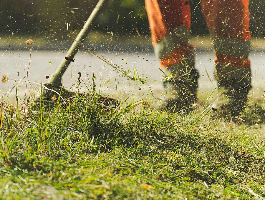Overgrown grass being cleared with a line trimmer