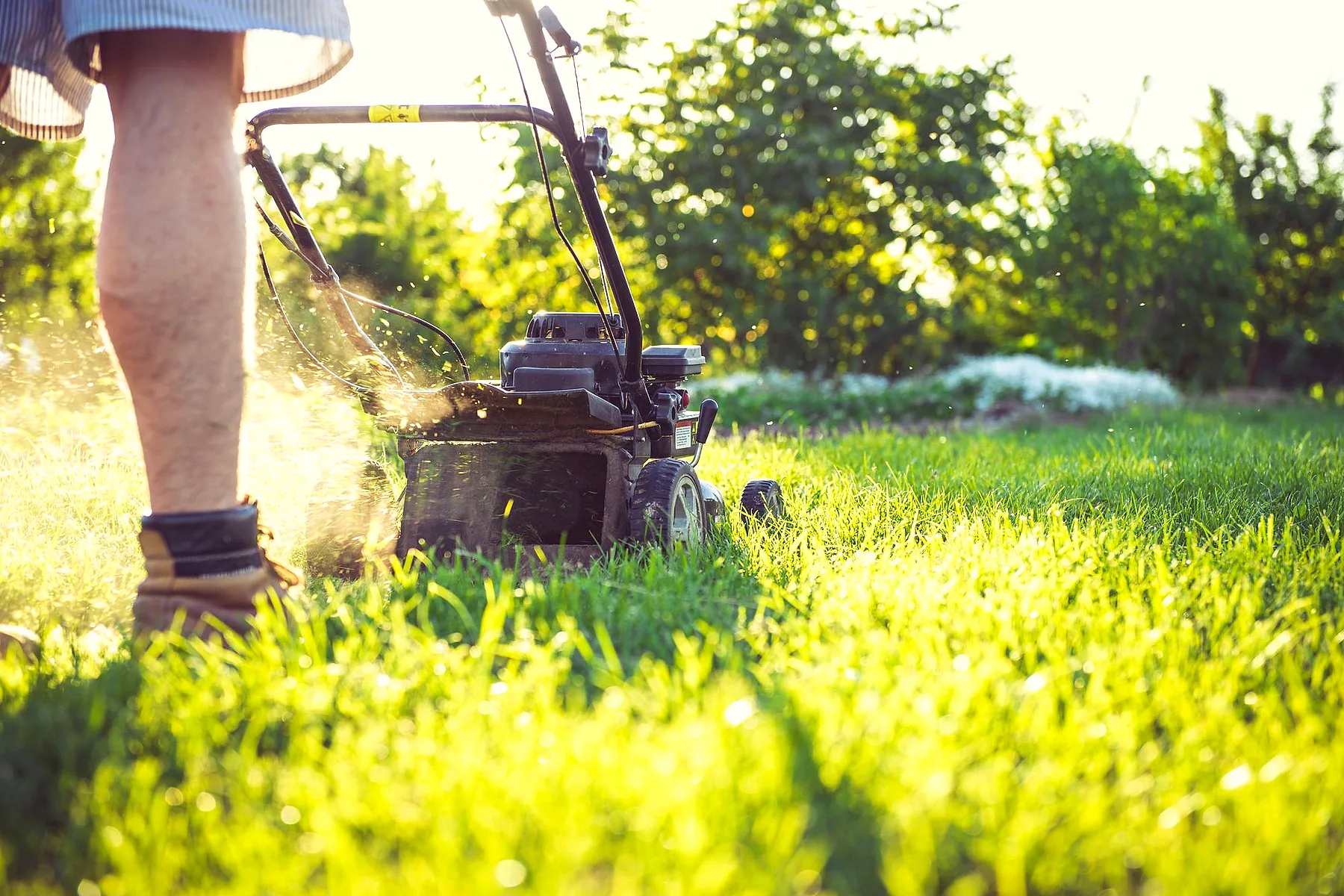Freshly mown striped lawn being mowed in warm afternoon light